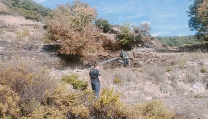 Alanyada merada çıkan yangın kontrol altına alındı