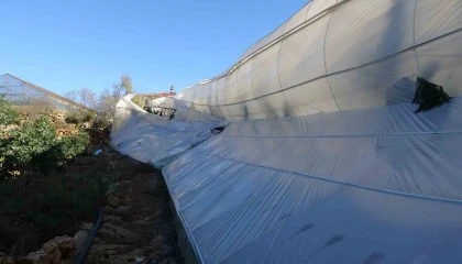 Alanyada sağanak ve fırtına sebze ile meyveleri vurdu