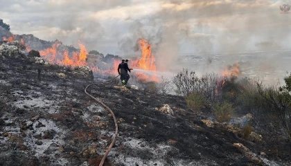 Antakya’da makilik yangını