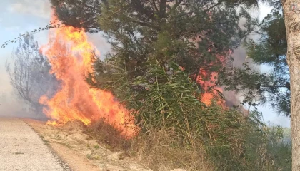 Antakya’da ormanlık alandaki yangın büyümeden söndürüldü