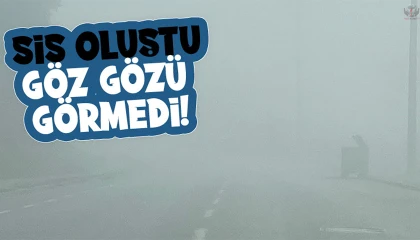 Antakyada sis etkili oldu
