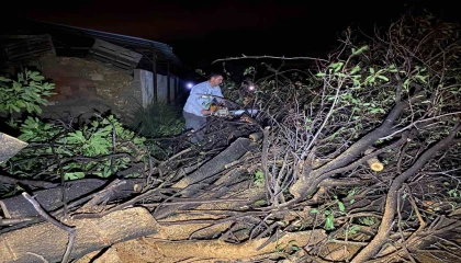 Antalyada hortum yıkıp geçti, evler ve seralar hasar gördü