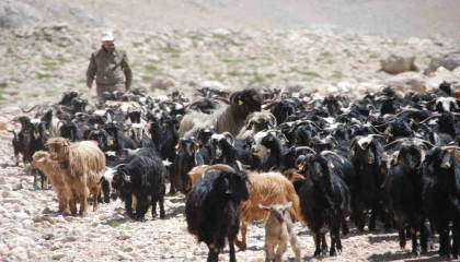 Antalyada Yörüklerin yayladan dönüşü başladı