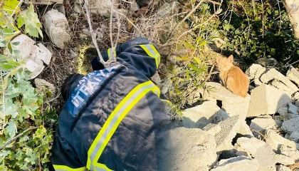 Atık su borusunda mahsur kalan kediyi itfaiye kurtardı