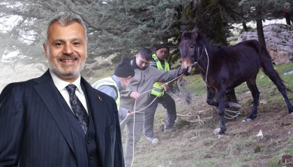 Başkan ÖNTÜRK'ten, bin 900 rakımda ölümü bekleyen katıra şefkat eli