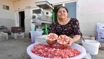Büyükşehir Belediyesinden üreticiye Nar Taneleme Makinesi desteği
