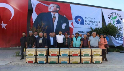 Büyükşehirden Gazipaşalı arıcılara kovan desteği