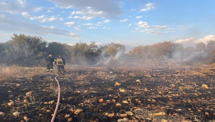 Defnede zeytinlik alanda çıkan yangın söndürüldü
