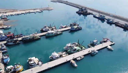 Doğu Akdenizde balık popülasyonu azalıyor