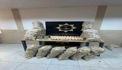 Dubaiye giden patates çuvalları içinde binlerce uyuşturucu hap ele geçirildi
