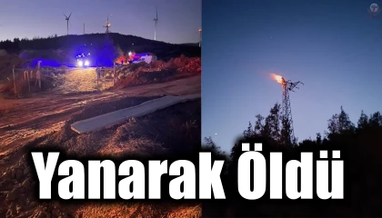 Elektrik direğinde akıma kapılan şahıs hayatını kaybetti