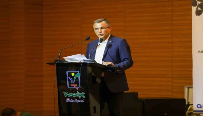 Festival, Manavgatın zeytin potansiyelini ortaya çıkardı