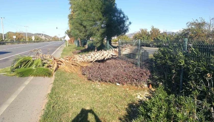 Gazipaşada fırtına 250 hektarlık sera alanını vurdu