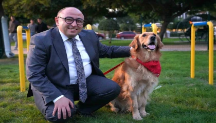 Geri dönüşüm malzemelerinden Pati Park