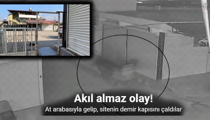 Hatay'da Hırsızlık: At Arabası ile Kapı Çaldılar