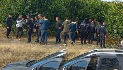 Hatay'da Narenciye Satışı Kavga Başlattı