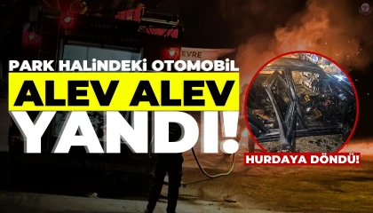 Hatayda park halindeki otomobil alev alev yandı