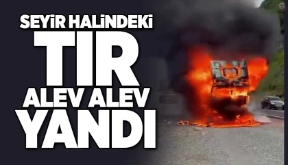 Hatayda park halindeki tır alev alev yandı