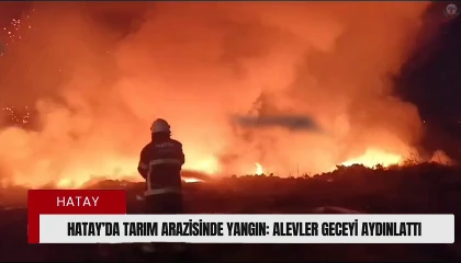 Hatayda tarım arazisinde yangın: Alevler geceyi aydınlattı