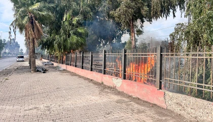 İskenderun’da otluk alan alevlere teslim oldu