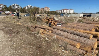 Ispartada kontrolden çıkan otomobil tomrukların üzerinden düştü: 2 yaralı