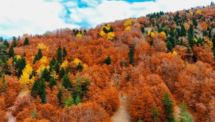 Kahramanmaraşta kartpostallık sonbahar renkleri