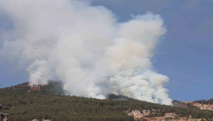 Kahramanmaraşta orman yangının kontrolü altına alındı