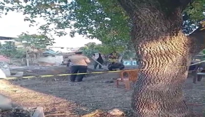 Kazılan mezarda bulunan küpten 500den fazla sikke çıktı