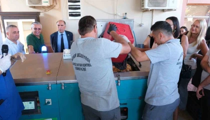 Kemer Belediyesi ‘can dostlara mama üretiyor