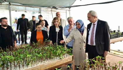 Kepez Belediyesi, ilçeyi kendi yetiştirdiği bitkilerle yeşillendiriyor