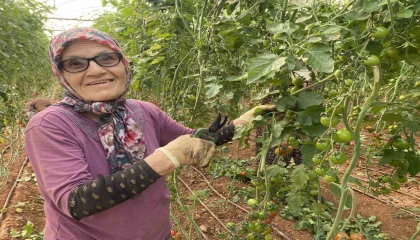 Kocası 5 çocuğuyla bırakıp kaçınca 46 sene ev temizledi, şimdi ise 75 yaşında serada çalışıyor