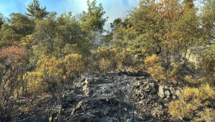Kumlucadaki orman yangını kısmen kontrol alına alındı