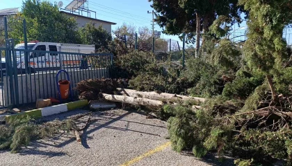 Manavgatda şiddetli fırtına ve rüzgar ağaçları yıktı, okula zarar verdi