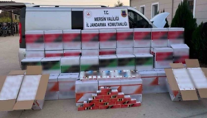 Mersinde 620 bin adet makaron ele geçirildi