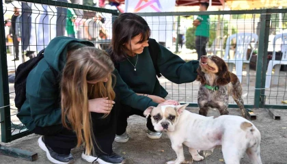 Mersinde patili dostlar yeni yuvalarına kavuştu