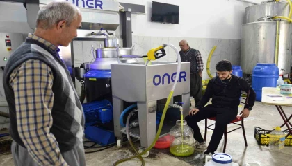 Mersinde üreticilerin zeytinyağı telaşı