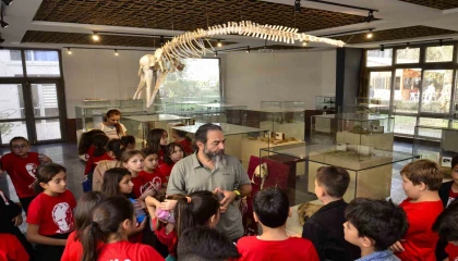 Öğrenciler bu müzede deniz canlılarıyla tanışıyor