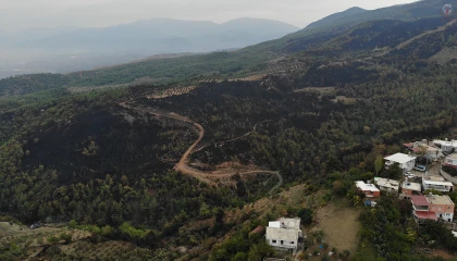 Orman yangınında küle dönen alan drone ile görüntülendi