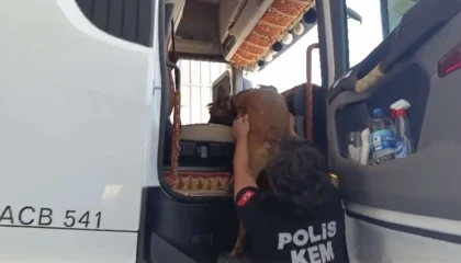 Osmaniyede uyuşturucu operasyonu: 32 tutuklama