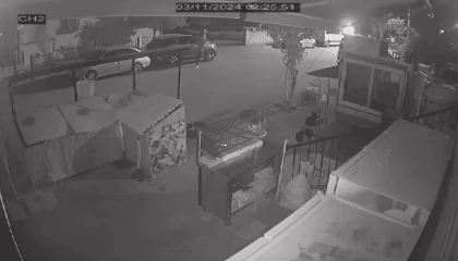 Park halindeki 13 aracın dikiz aynasını kırdı