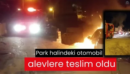 Park halindeki otomobil alevlere teslim oldu