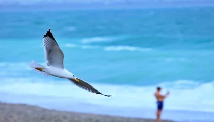 Rus turist fırtınanın oluşturduğu dev dalgalar arasında denize girdi, ceket giyenlere güldü