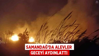 Samandağda alevler geceyi aydınlattı