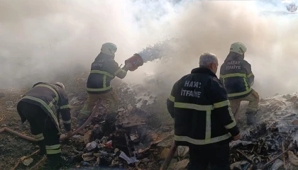 Samandağ'da çıkan kamışlık yangını söndürüldü