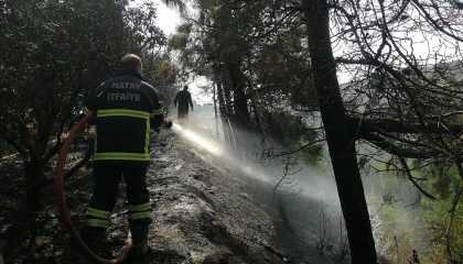 Samandağ’da çıkan orman yangını söndürüldü