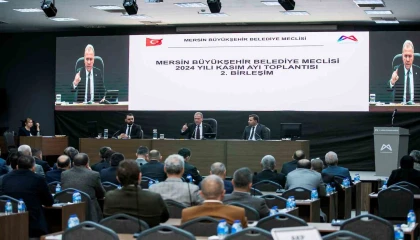 Seçer: Toplumları kültürle, sanatla bir arada tutarsınız