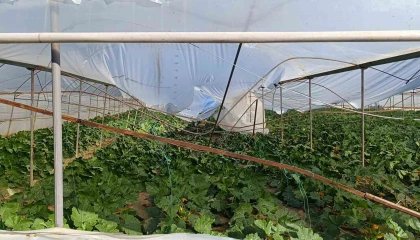 Serayı 1 yıl arayla 3 kez hortum vurdu