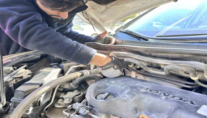 Hatay'lı sürücü, soğuktan motora sığınan yavru kediyi kurtardı