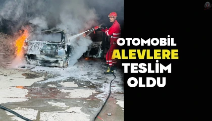 Tamirhanede bakımı yapılan otomobil alevlere teslim oldu