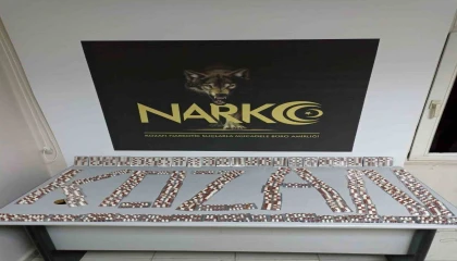 Zeytin ağacına saklanan uyuşturucu ele geçirildi